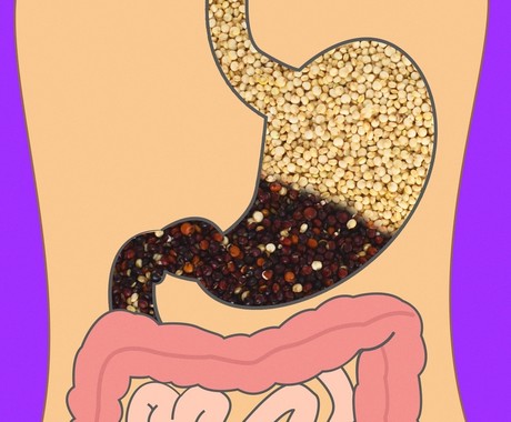 optimal food culture for-continuous health,زمان هزم غلات برنج گندم سیاه و کینوا